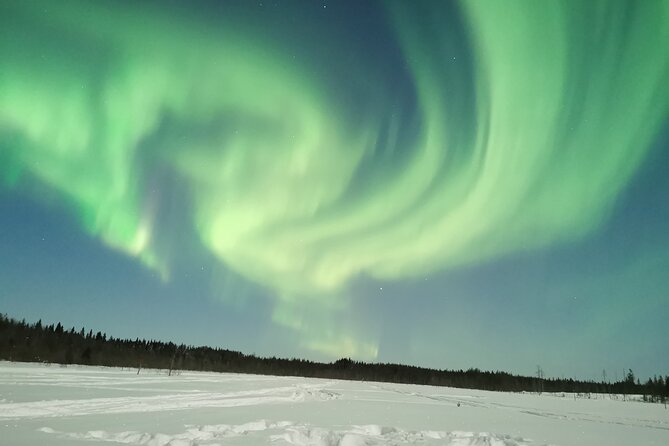Northern Lights Sledge Ride - Who will enjoy this, and who should think twice?