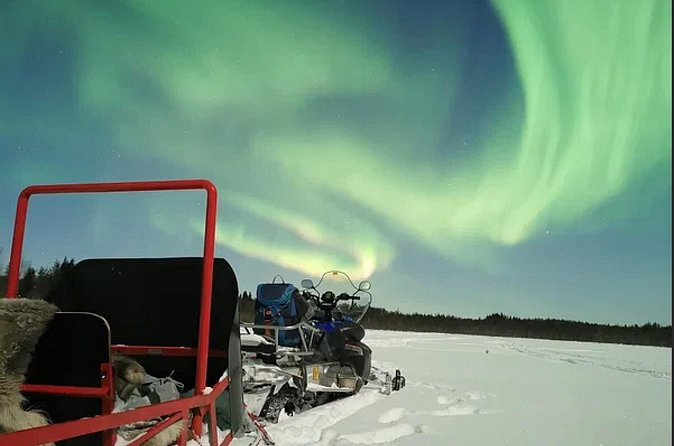 Northern Lights Sledge Ride in Levi - Price and value at $119.77