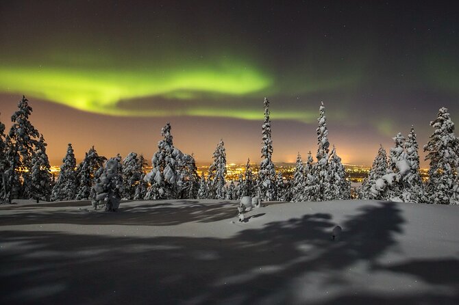 Northern Lights Sledge Ride in Levi - The guide and the pace of the evening