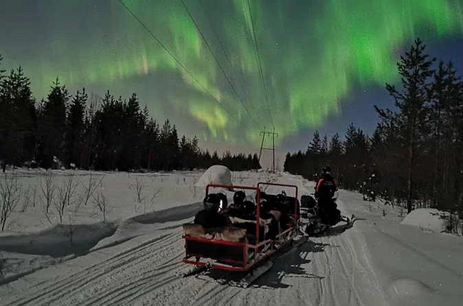 Northern Lights Sledge Ride in Levi - Who will enjoy this most