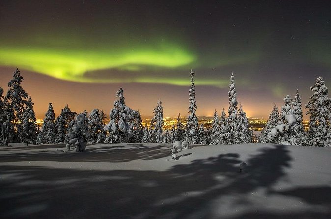 Northern Lights Sledge Ride in Levi - Practical booking details that matter
