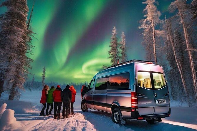 Northern Lights Small Group Tour from Reykjavik - The $117.29 price and what you receive