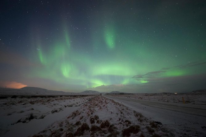 Northern Lights Small-Group Tour From Reykjavik with Hot Drink - Price, value, and the chance of a blank sky