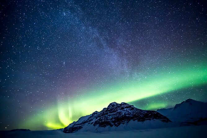Northern Lights Small-Group Tour with Free Photos & Hot Chocolate - Why the minibus makes a difference