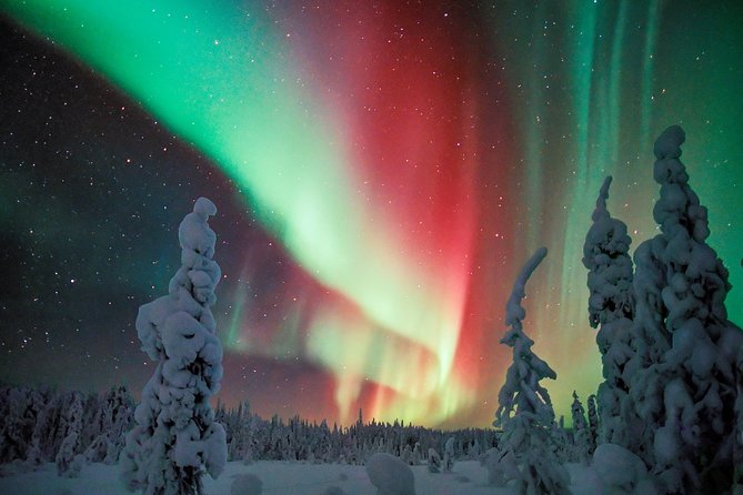 Northern Lights Snowmobile Driving Safari in Kemi - From Kemi pickup to the Arctic trail