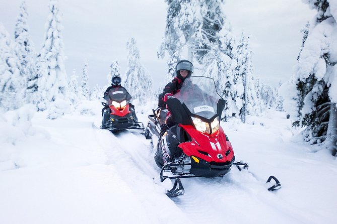 Northern Lights Snowmobile Driving Safari in Kemi - Group size, pace, and comfort