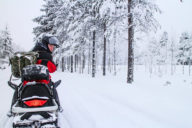 Northern Lights Snowmobile Driving Safari in Kemi - What the service experience means for you