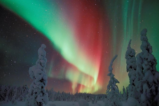 Northern Lights Snowmobile Safari from Rovaniemi with Campfire Picnic - Is $239.62 a fair price?