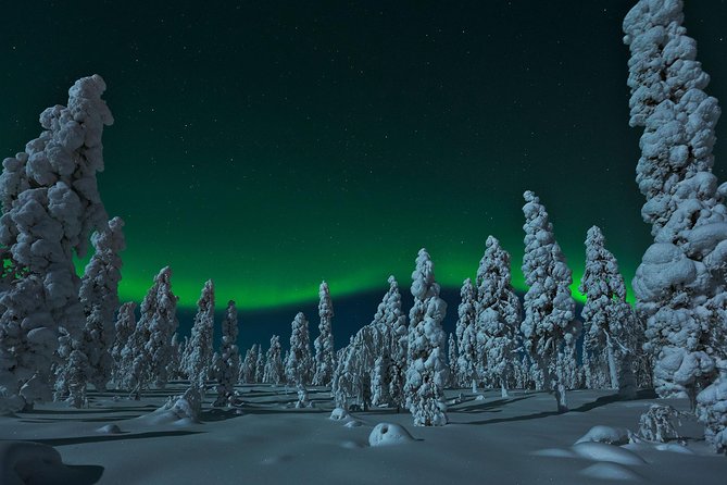 Northern Lights Snowmobile Safari from Rovaniemi with Campfire Picnic - Sharing a snowmobile through the forest