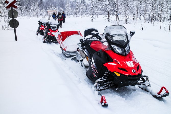 Northern Lights Snowmobile Sleigh Ride - Riding into the Rovaniemi countryside by sleigh