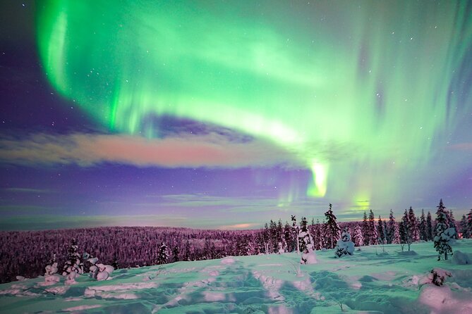 Northern Lights Snowmobile Tour - Key points to know before you book