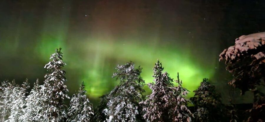 Northern Lights Snowshoe Hike in Levi with Latvian Guide - Key points at a glance