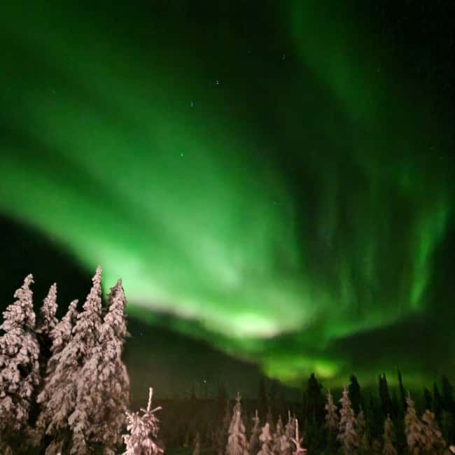 Northern Lights Snowshoe Hike in Levi with Latvian Guide - What the guide adds to a quiet night