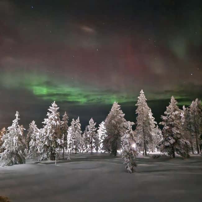 Northern Lights Snowshoe Hike in Levi with Latvian Guide - The Northern Lights question