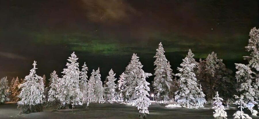 Northern Lights Snowshoe Hike in Levi with Latvian Guide - Booking details that affect your decision