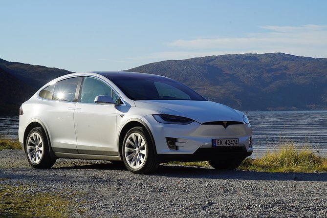 Northern lights - TeslaX Ecofriendly Car - A small group with room for local conversation