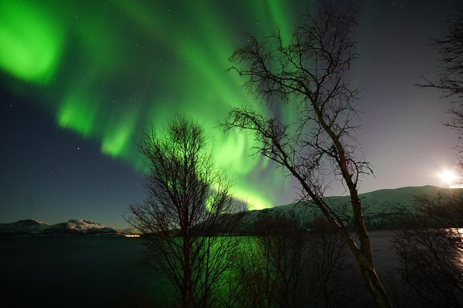 Northern lights - TeslaX Ecofriendly Car - The real value at $192.75 per person