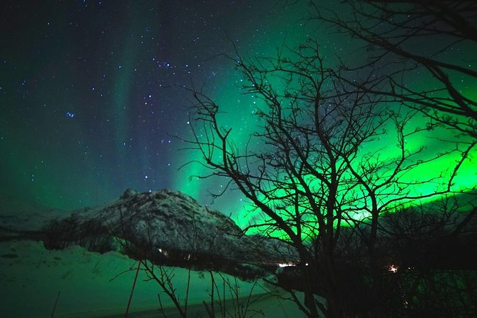 Northern lights - TeslaX Ecofriendly Car - The biggest risk: last-minute cancellations