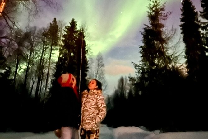 Northern Lights Tour At The Campfire - From Pekankatu 3 to the Finnish woods