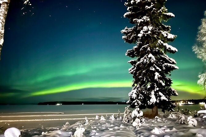 Northern Lights Tour At The Campfire - A campfire hut gives the evening a second purpose