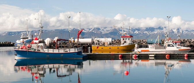 Northern Lights Tour from Husavik - Key points at a glance