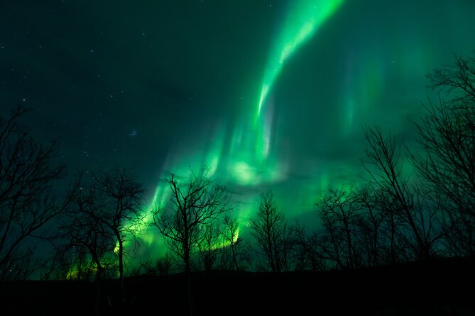 Northern Lights Tour from Kiruna to Abisko with Dinner - Why the Kiruna to Abisko run is worth your evening