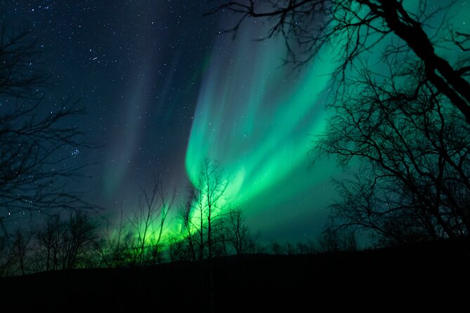 Northern Lights Tour from Kiruna to Abisko with Dinner - Dinner at Abisko Mountain Lodge comes first