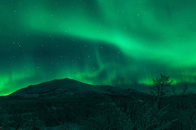 Northern Lights Tour from Kiruna to Abisko with Dinner - The included photography can be a real saving