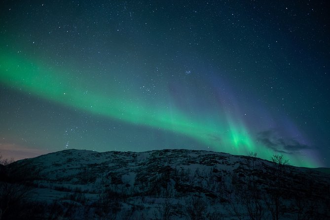 Northern Lights Tour from Kiruna to Abisko with Dinner - What the evening feels like on a difficult night