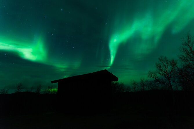 Northern Lights Tour from Kiruna to Abisko with Dinner - Is $278.79 a fair price?