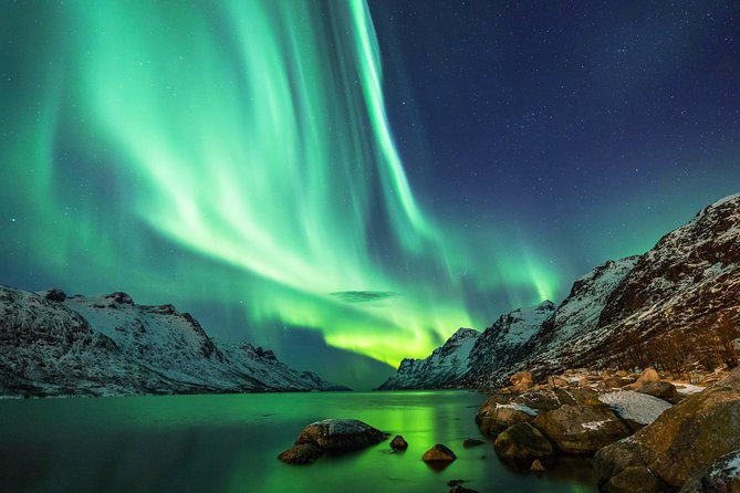 Northern Lights Tour from Reykjavik with Lifetime Guarantee - The lifetime guarantee is the tour’s real safety net