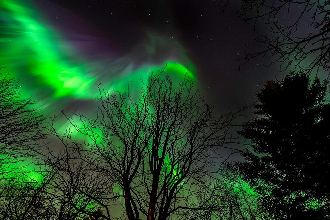 Northern Lights Tour from Reykjavik with Lifetime Guarantee - Warmth, comfort, and what to bring