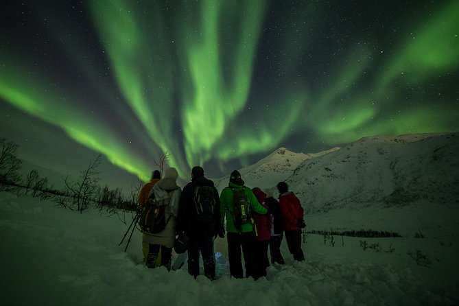Northern Lights Tour from Tromsø - The campfire meal and Arctic warm-up