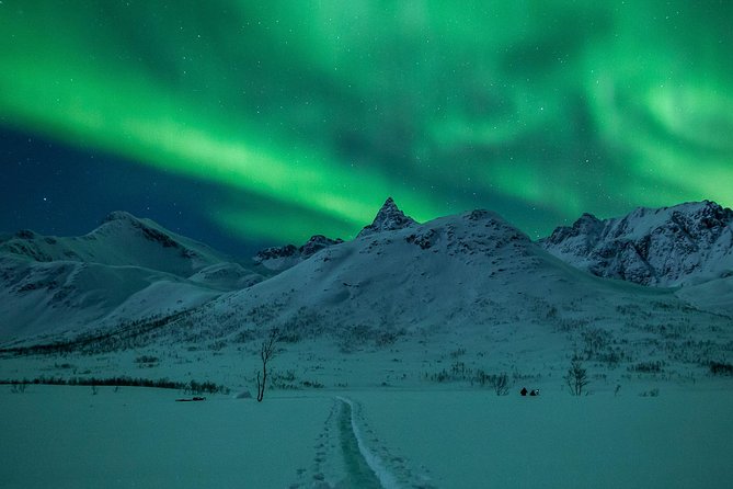 Northern Lights Tour from Tromsø - The chase: cloud gaps, long drives, and patience