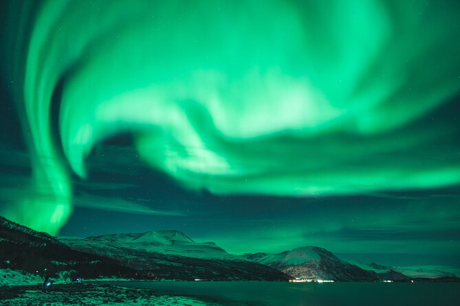 Northern Lights Tour in Tromso - Is $123.17 a fair price?