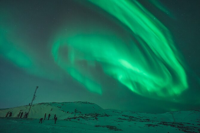 Northern Lights Tour in Tromso - Who should choose this Tromsø tour?
