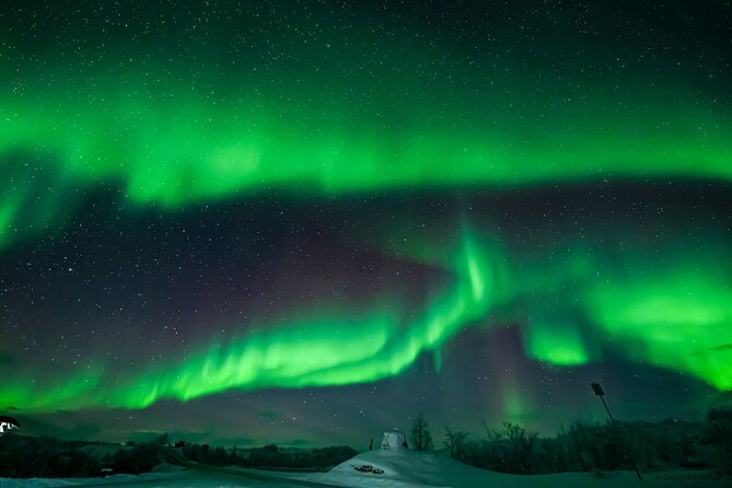 Northern Lights Tour, Photo, Toilet, Meal, Skycam in Mbus - Is $236.45 a fair price?