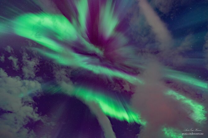 Northern Lights Tour, Photo, Toilet, Meal, Skycam in Mbus - Who should choose this Tromsø tour?