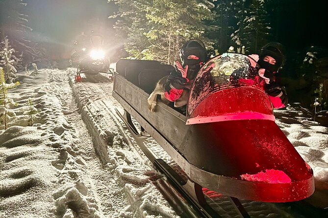 Northern Lights Tour Sleigh Ride - Leaving Rovaniemi at 7:00 pm