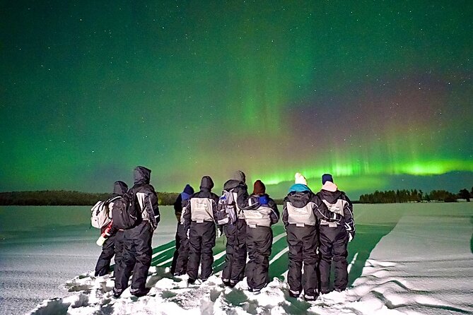 Northern Lights Tour Snowmobile Driving - A short night ride from central Rovaniemi
