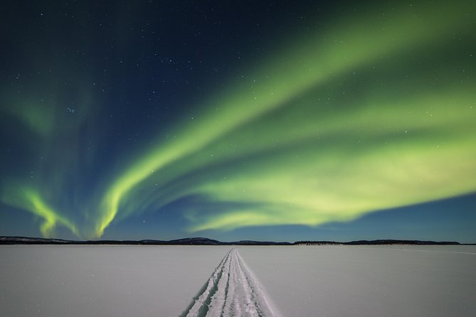Northern lights tour to Lake Inari from Ivalo, Reindeers & Dinner - Key points at a glance