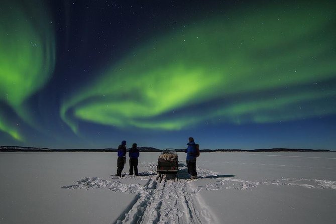 Northern lights tour to Lake Inari from Ivalo, Reindeers & Dinner - Riding the snowmobile-pulled sleigh