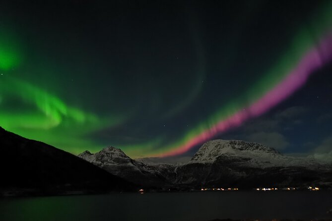 Northern Lights Tour, Tromso, Local Guide, Private Basecamp - Key details before you book