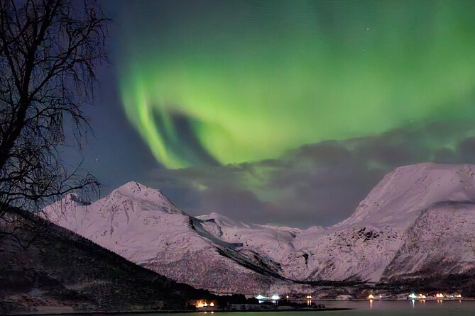 Northern Lights Tour, Tromso, Local Guide, Private Basecamp - Starting at the Magic Ice Bar at 6:45 pm