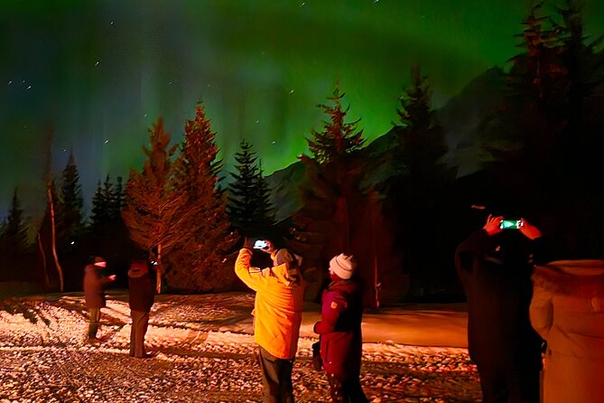 Northern Lights Tour, Tromso, Local Guide, Private Basecamp - Who will enjoy this Tromsø aurora tour?