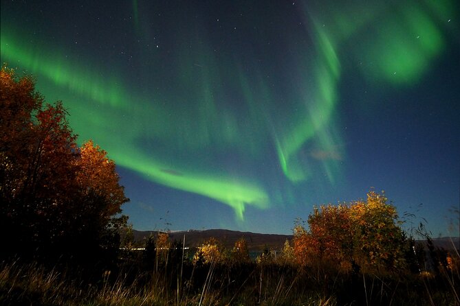 Northern Lights tour with Alta Adventure - The guides make a big difference