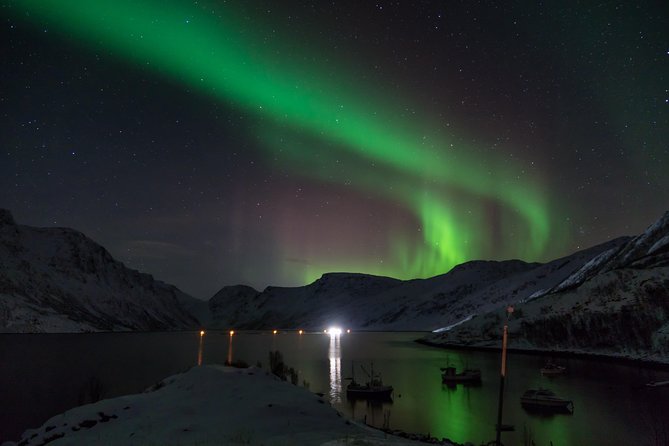 Northern Lights tour with Alta Adventure - Is $235.37 good value?