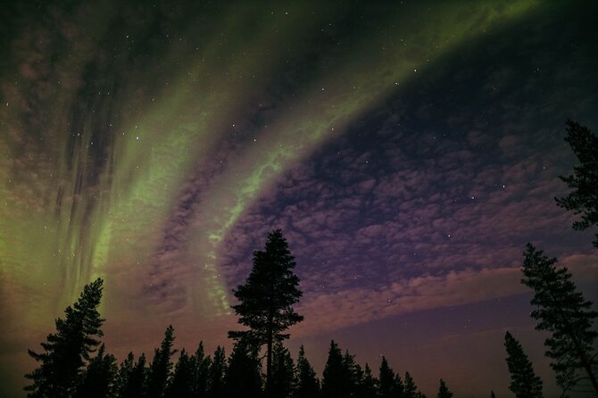 Northern Lights Tour with BBQ and drinks - Leaving Rovaniemi for the Arctic night
