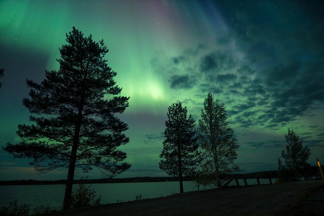 Northern Lights Tour with BBQ and drinks - Who will enjoy this Rovaniemi tour most