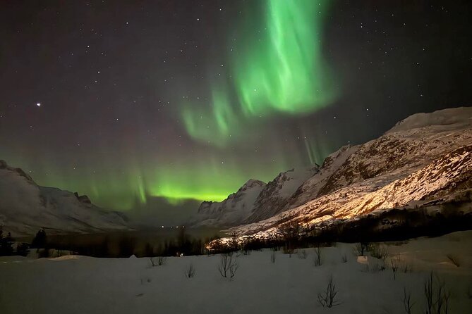 Northern Lights Tour with Hot Food and Drinks in Tromso - The Arctic drive, fjords, valleys, and photo stops
